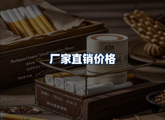 专业团队办公环境
